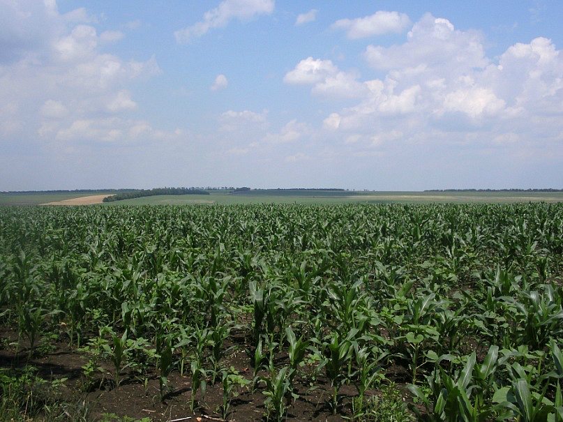 2011 год - Урицьке