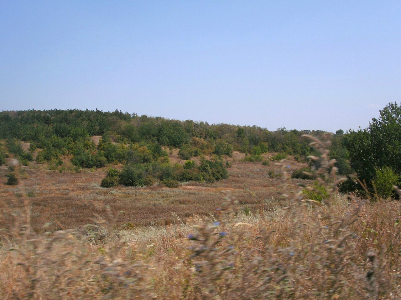 2011 год - Золотой Колодезь