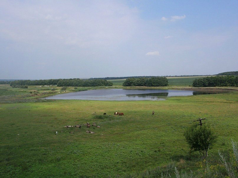 2011 год - Нововодяное