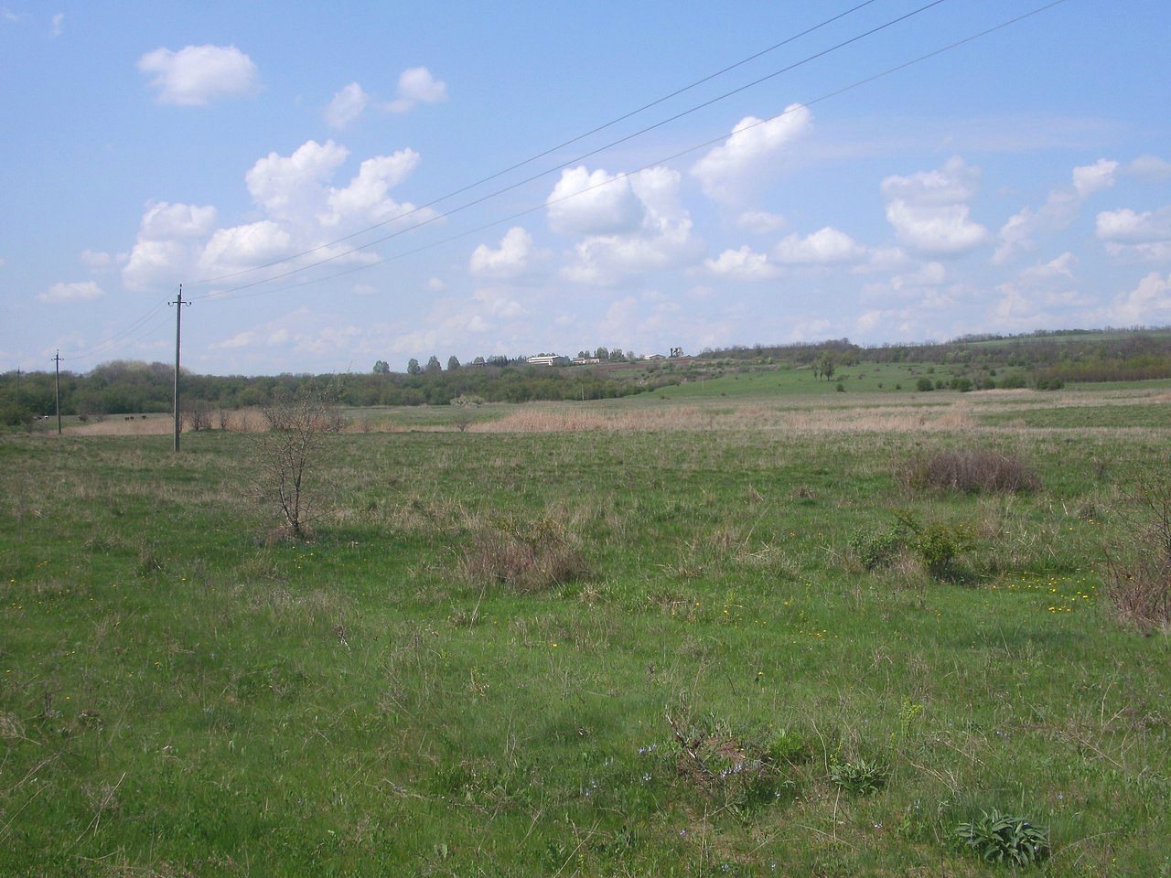 2011 год - Завидо-Кудашеве