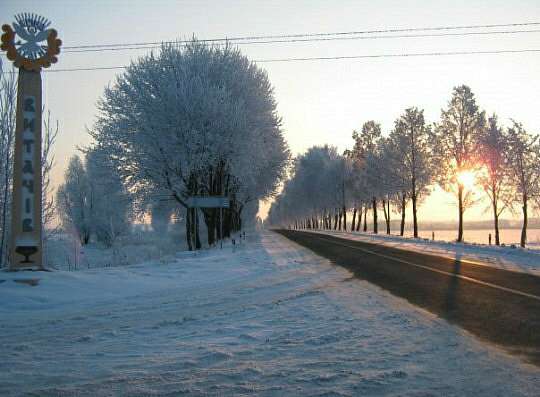Спогади про сніжну зиму... - Витачів