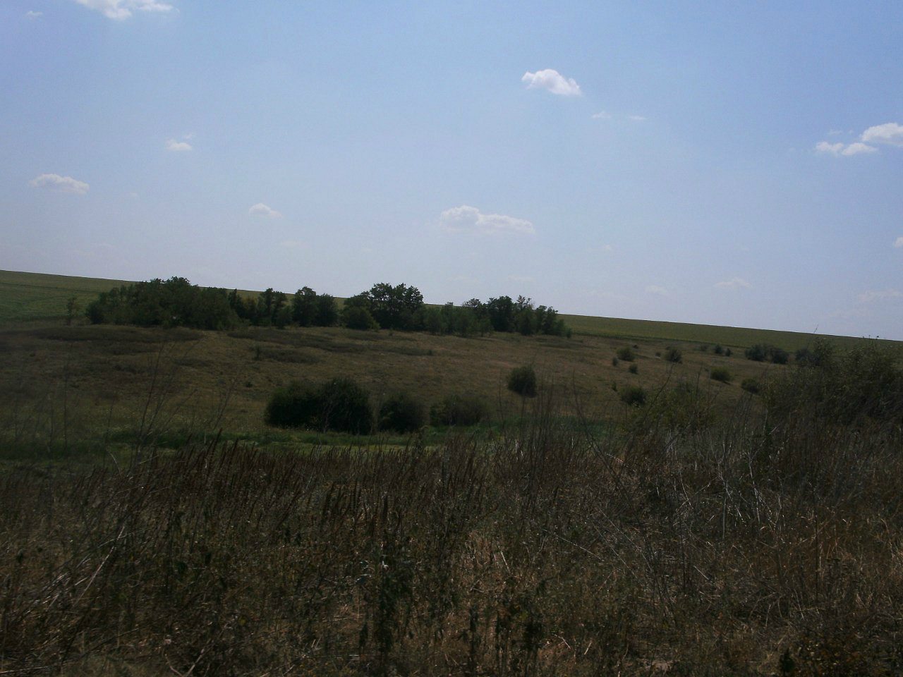 2011 год - Золотой Колодезь