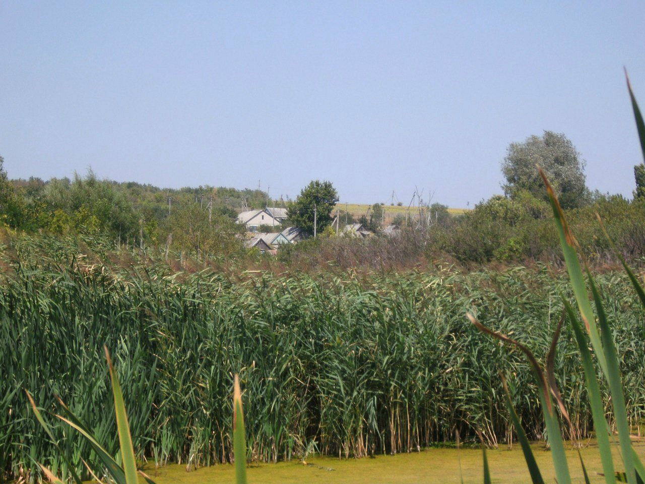 2011 год - Золотой Колодезь