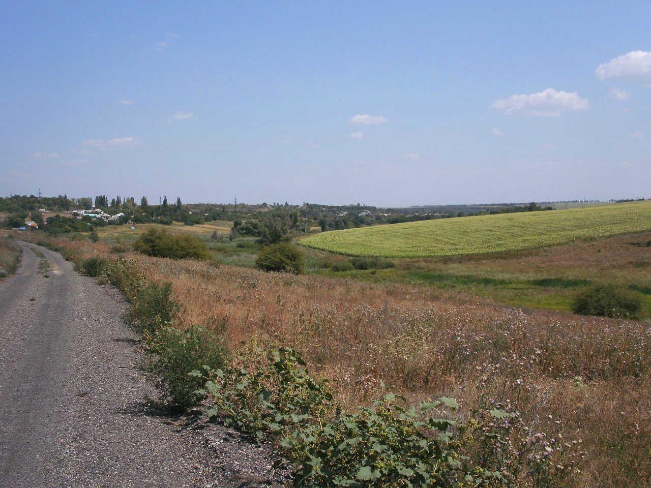 2011 год - Золотой Колодезь