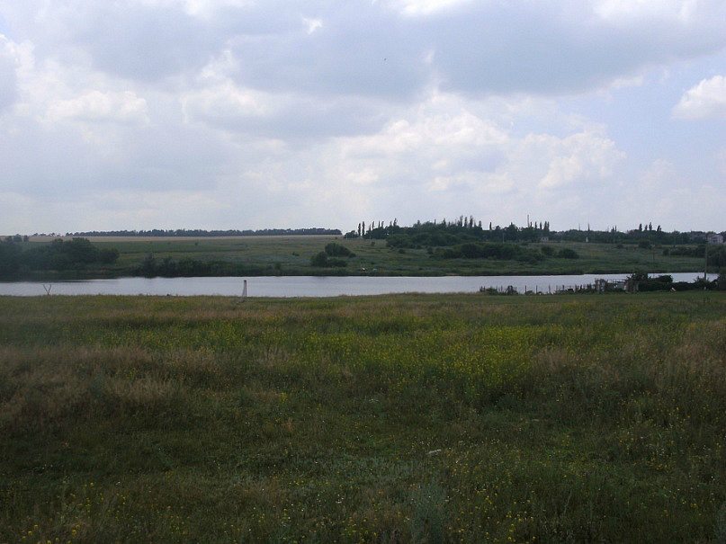 2011 год - Степанівка