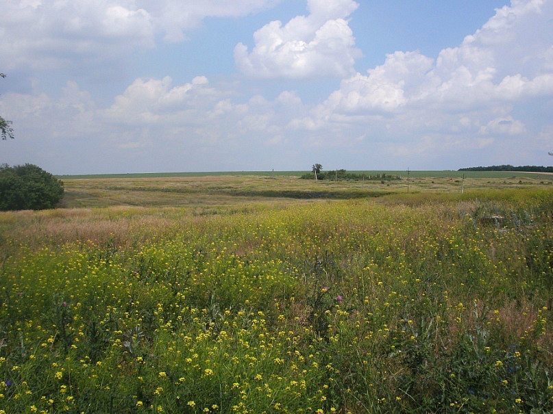 2011 год - Урицьке