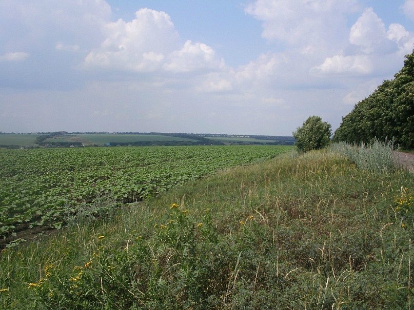 2011 год - Урицьке