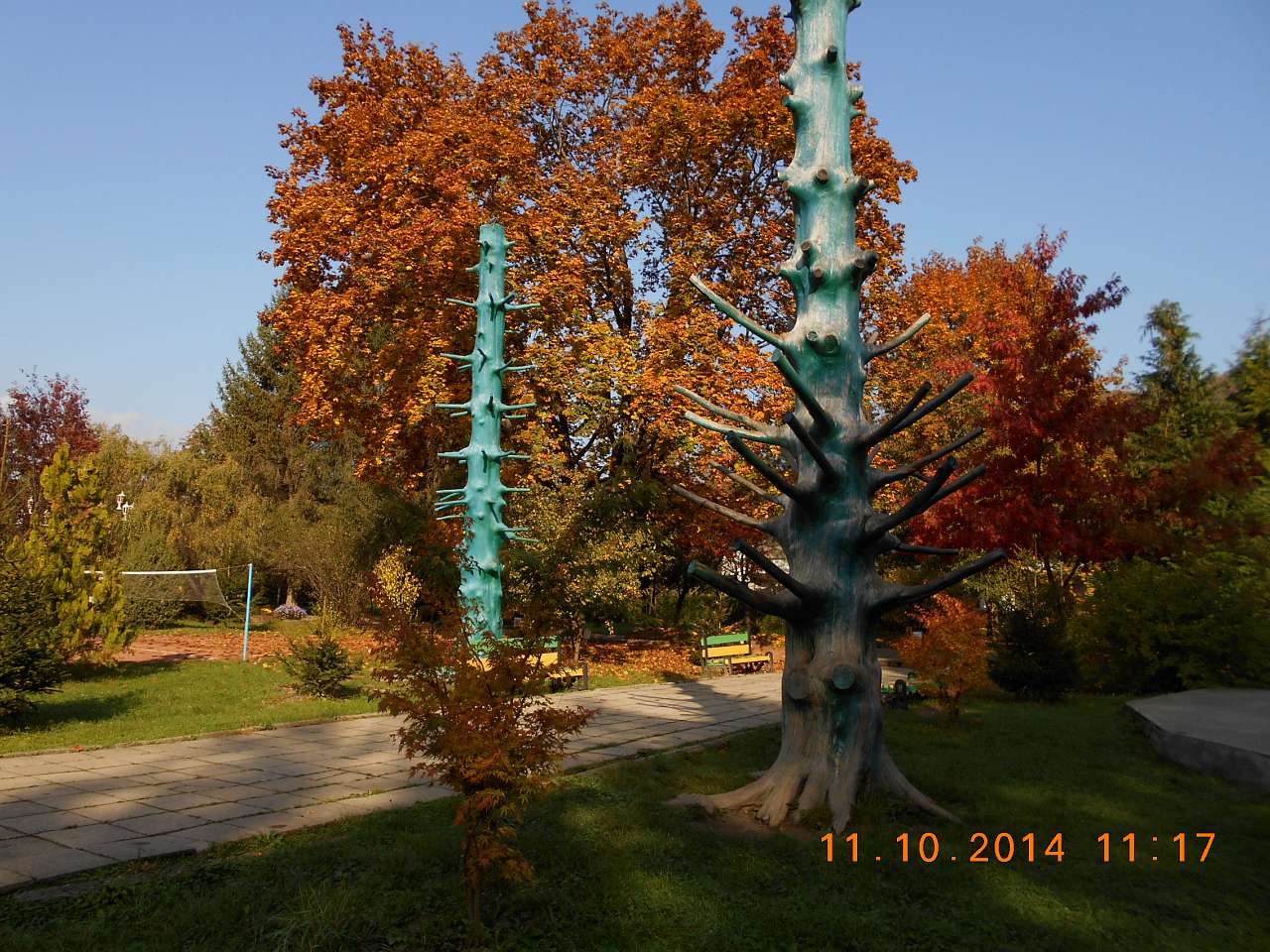 'Сонячна Поляна' у Поляні - Поляна