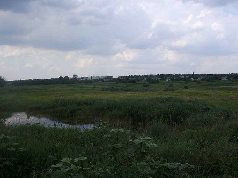 2011 год - Святогорівка