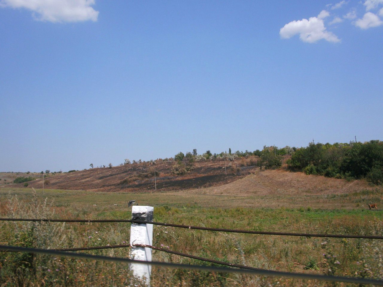 2011 год - Золотой Колодезь