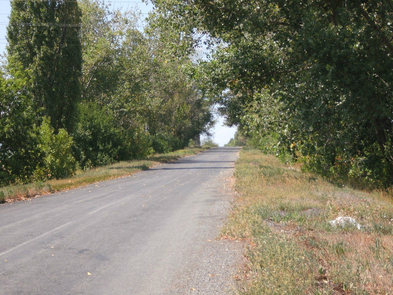 2011 год - Золотой Колодезь