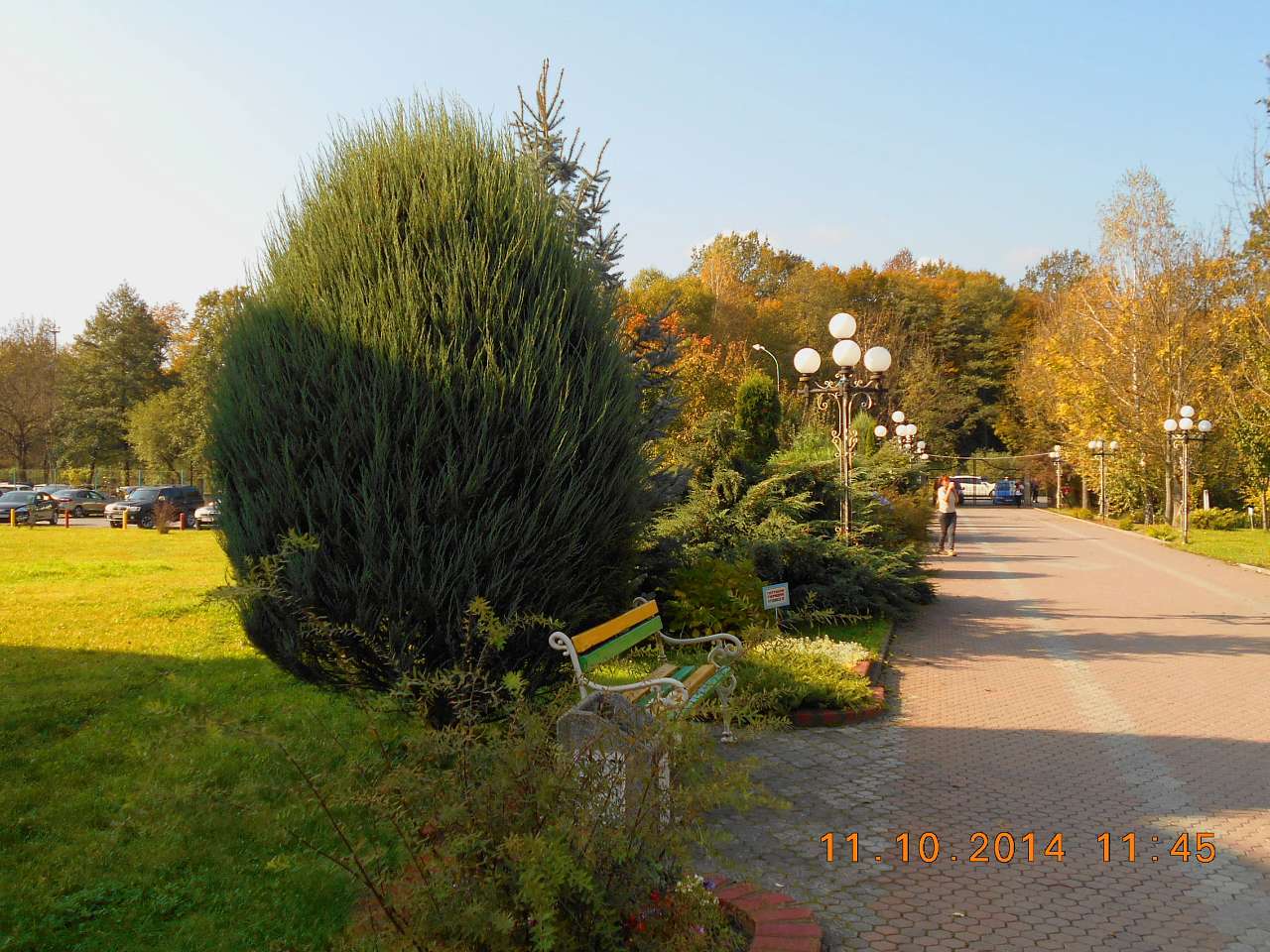 'Сонячна Поляна' у Поляні - Поляна