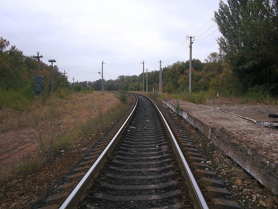 2011 год - Чунишине