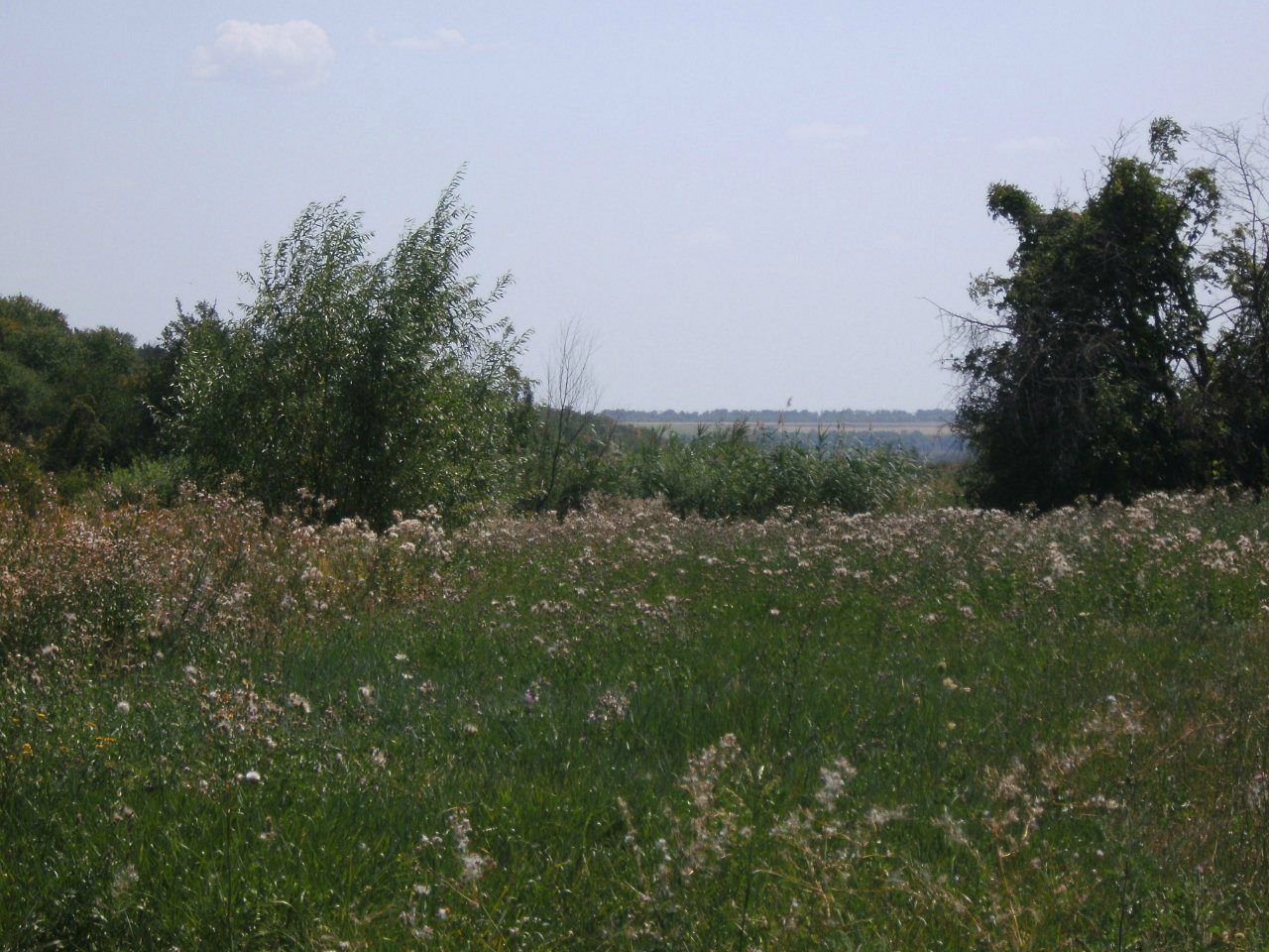 2011 год - Золотой Колодезь