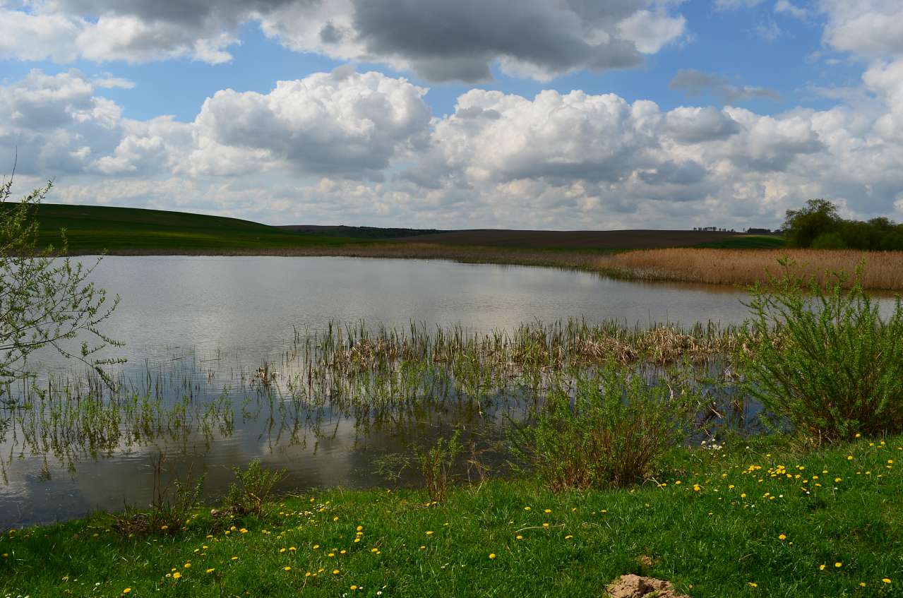 Краса Буянь - Буяни