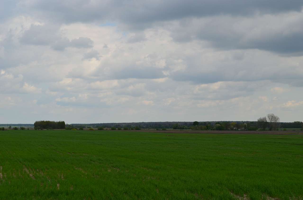 Краса Буянь - Буяни