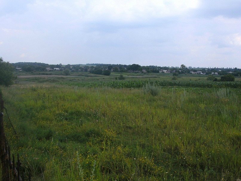 2011 год - Святогорівка