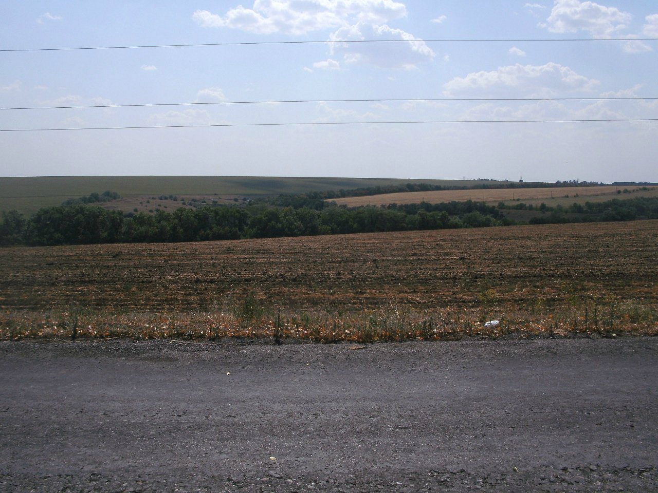 2011 год - Золотой Колодезь
