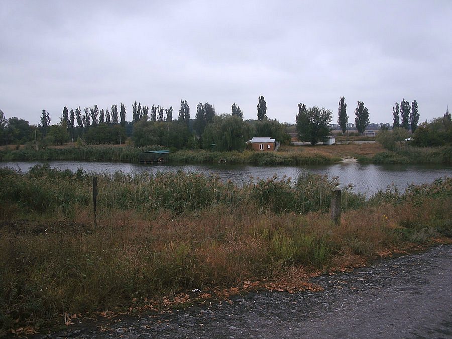 2011 год - Чунишине