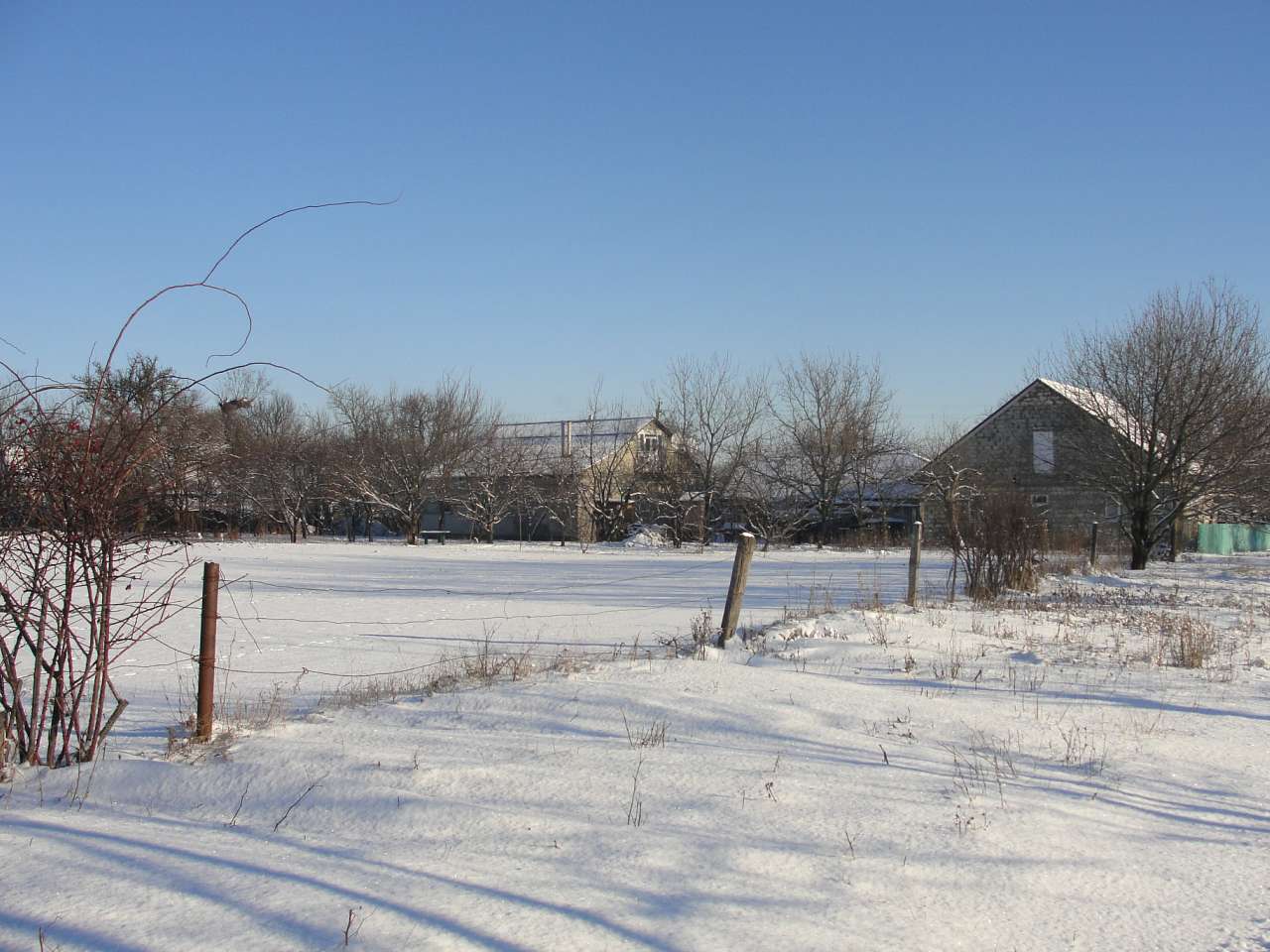 Червона Чагарівка - Червона Чагарівка