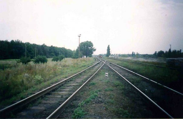 2011 год - Родинське