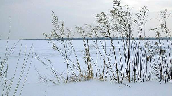 Спогади про сніжну зиму... - Витачів