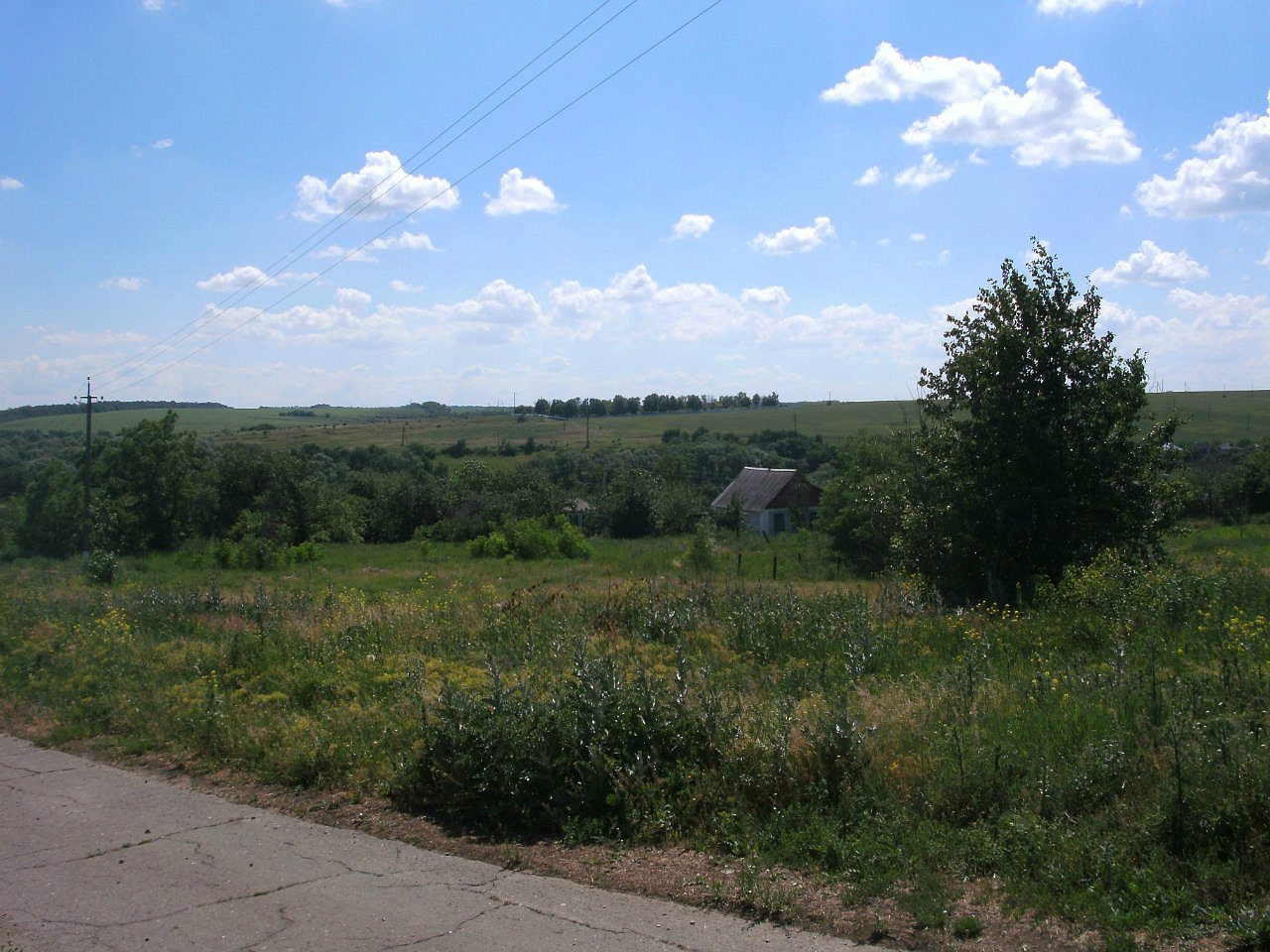 2011 год - Золотой Колодезь