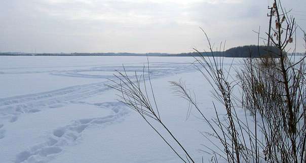 Спогади про сніжну зиму... - Витачів