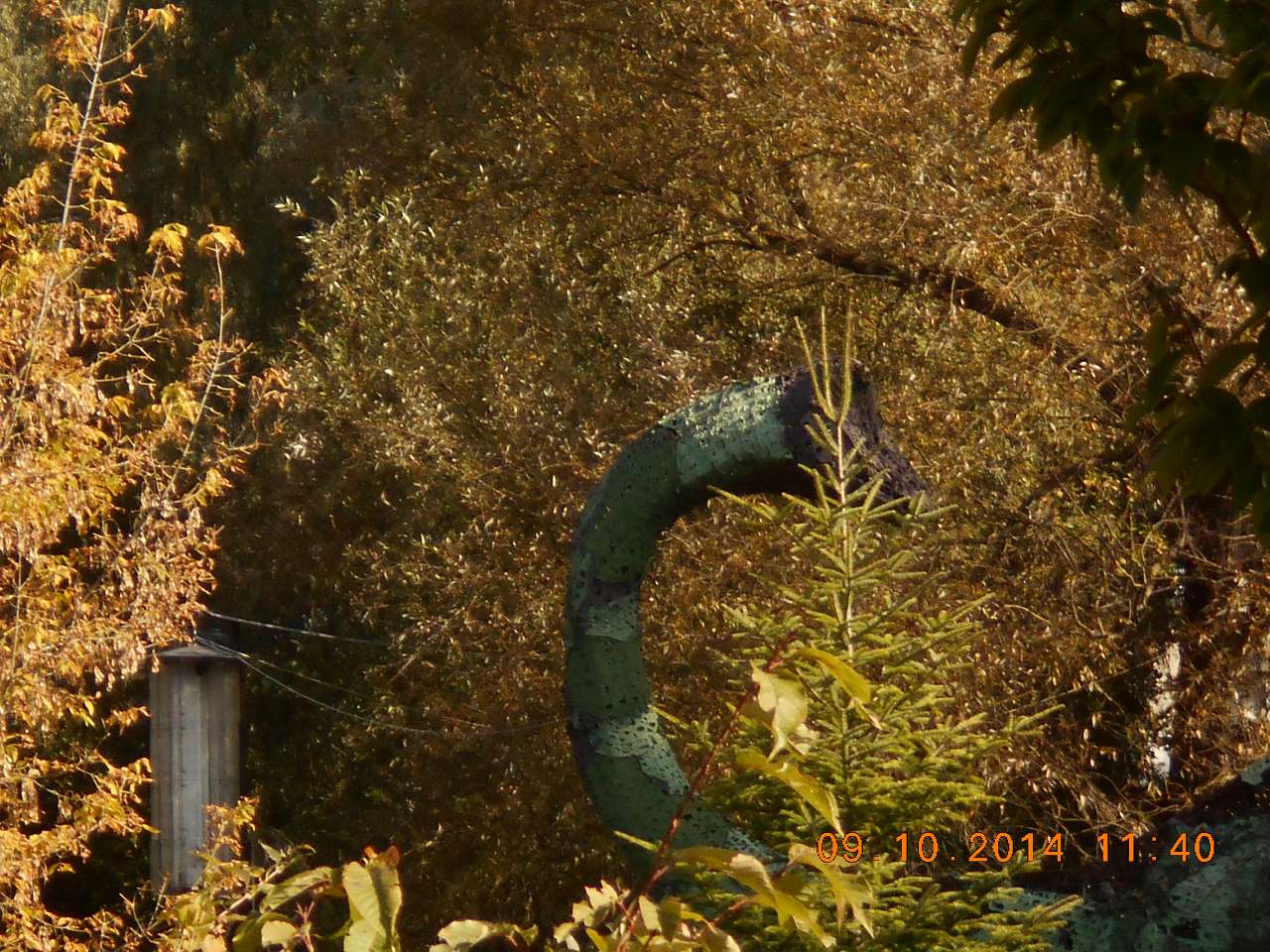 'Сонячна Поляна' у Поляні - Поляна