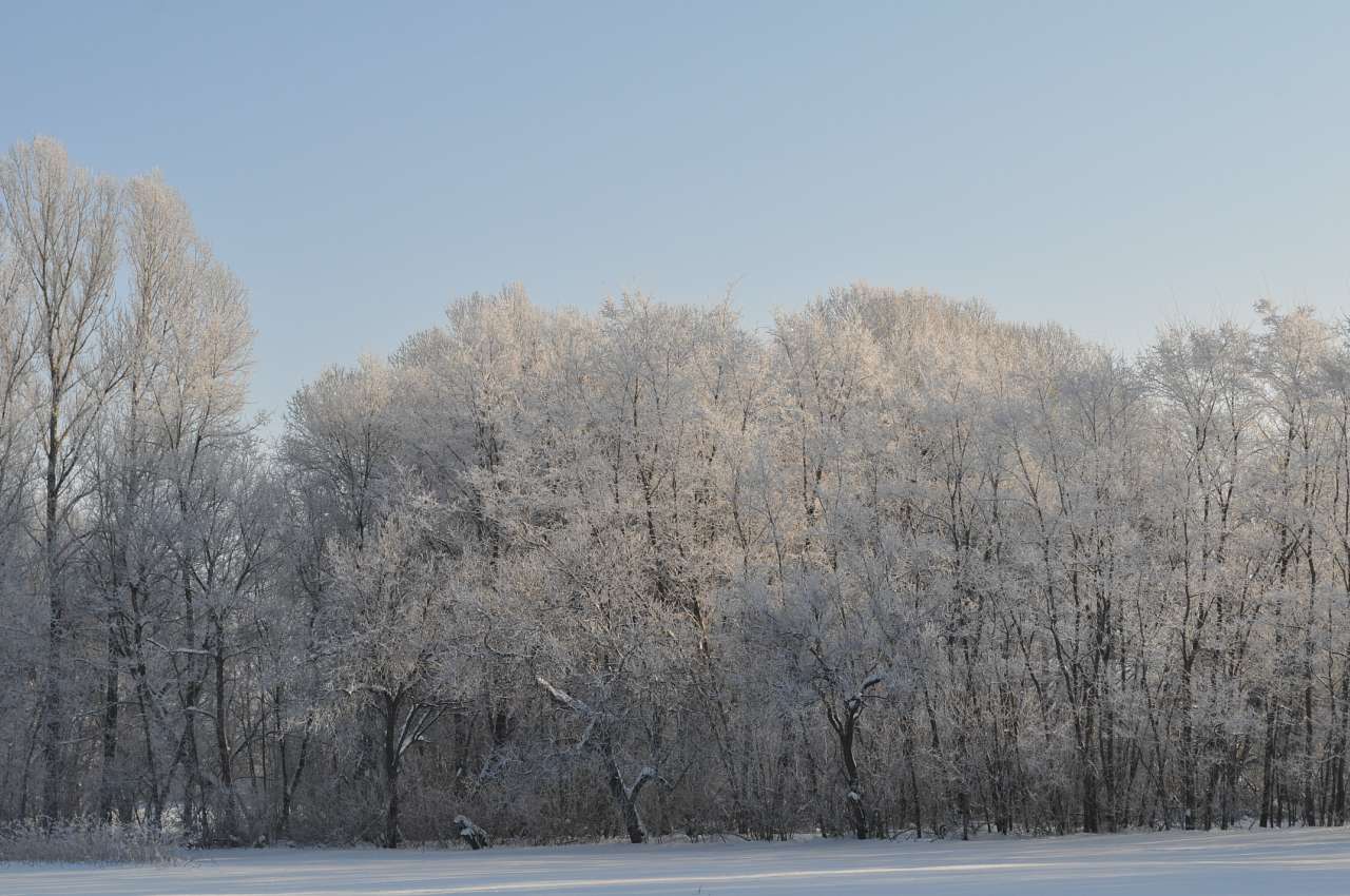 Канадська допомога - Пузирі