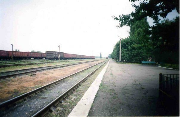 2011 год - Родинське