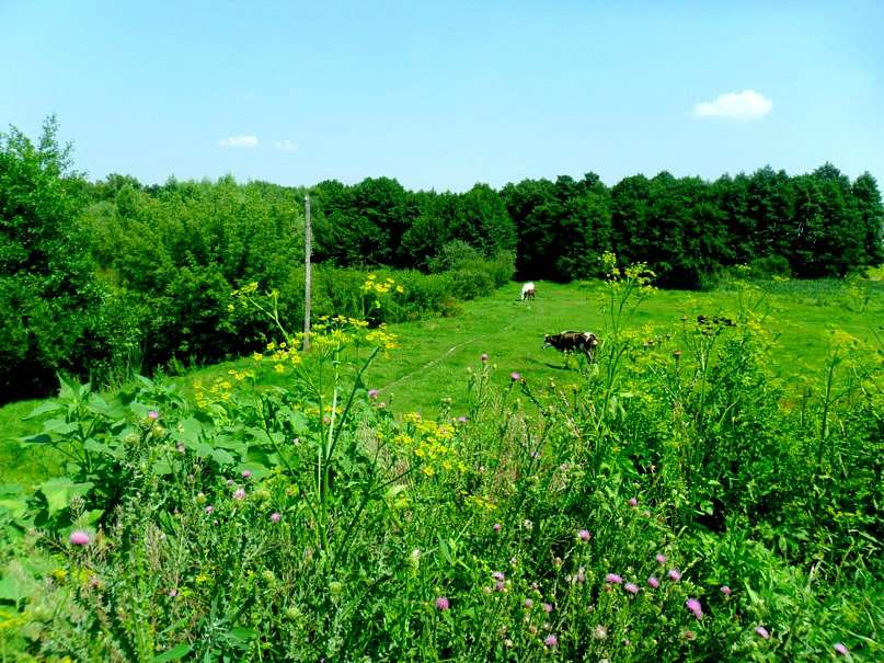 Саверці - Саверці