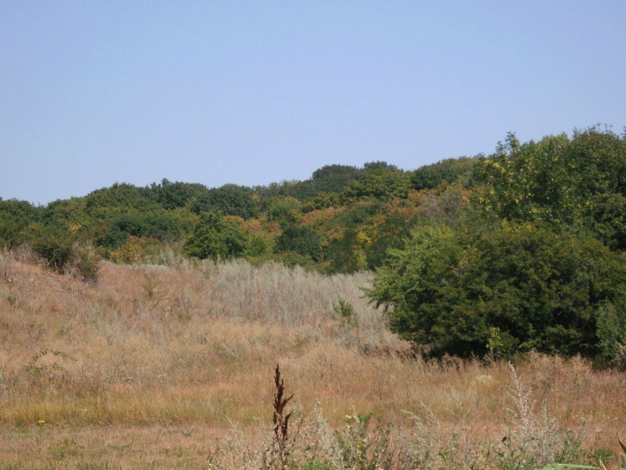 2011 год - Золотий Колодязь