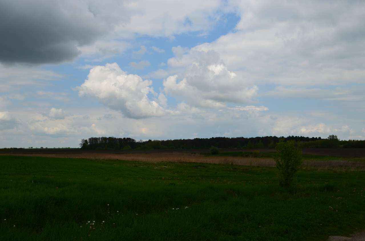 Краса Буянь - Буяни