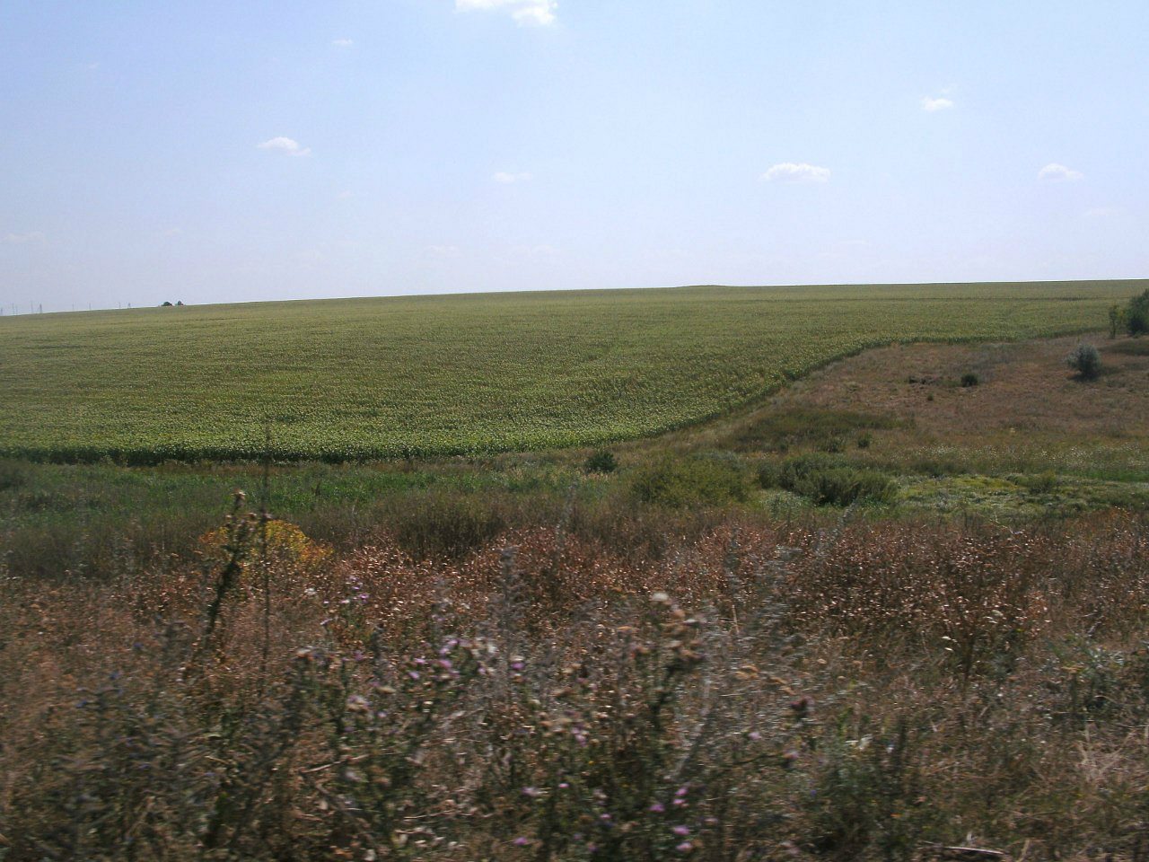 2011 год - Золотой Колодезь