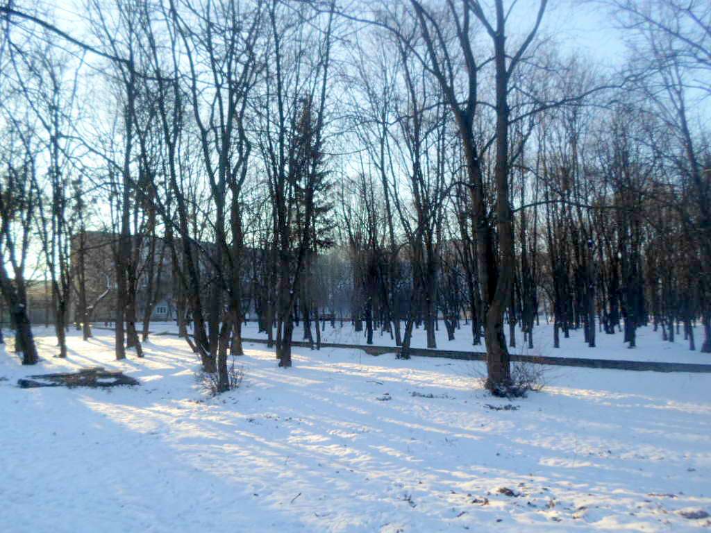 парки - Стрый