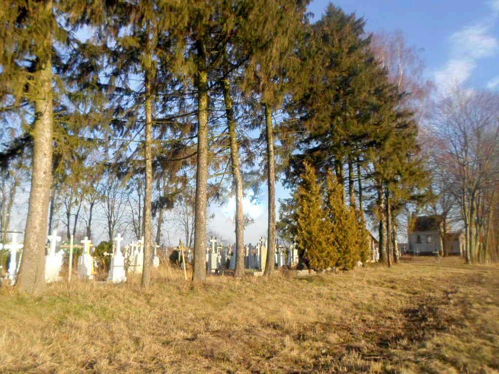 цвинтар - Derzhiv
