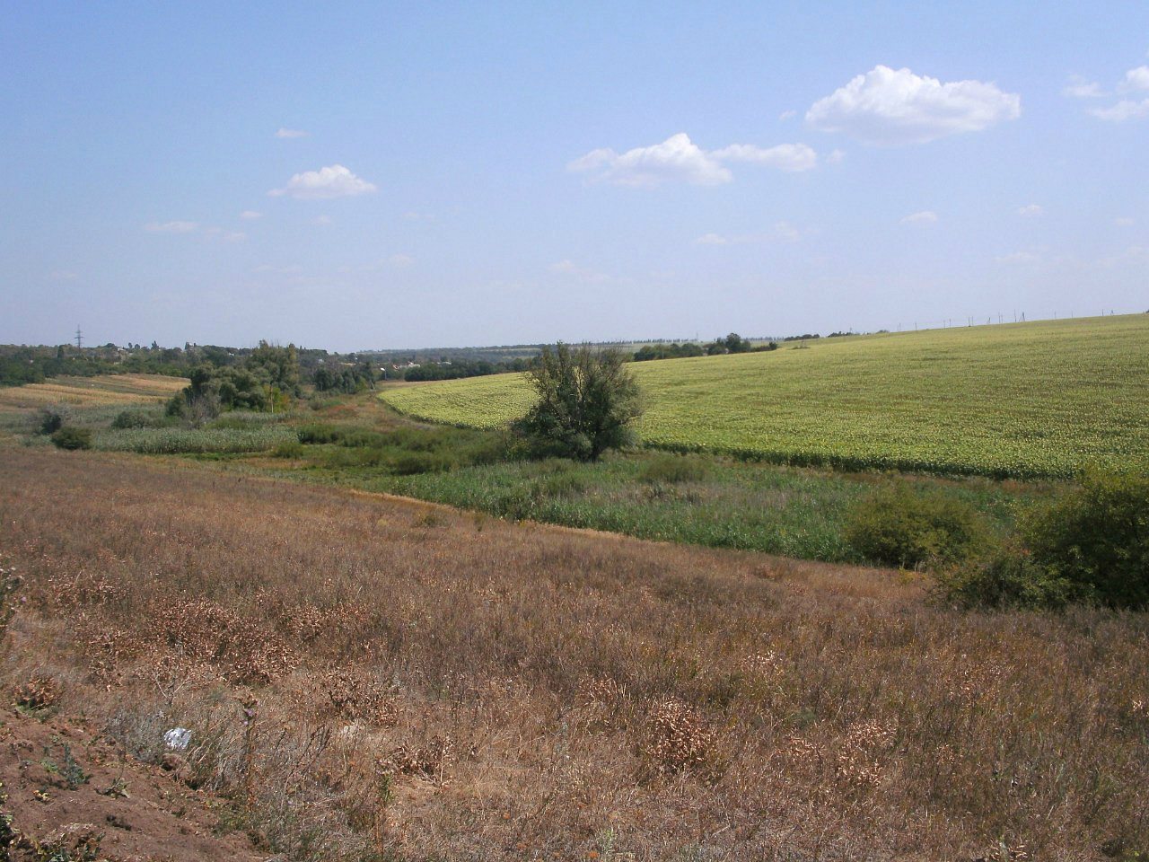 2011 год - Золотой Колодезь