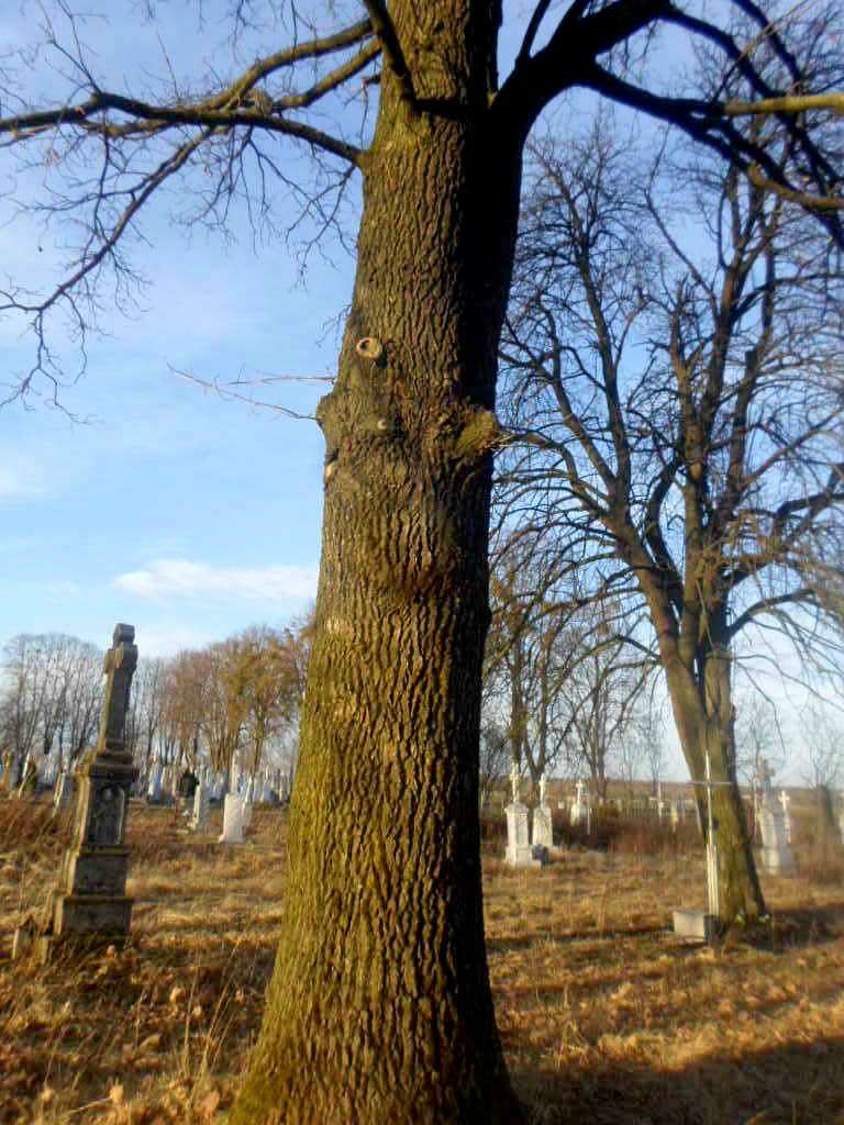 цвинтар - Derzhiv