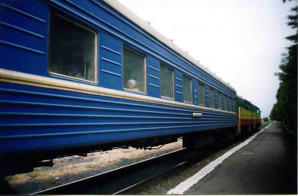 2011 год - Родинське