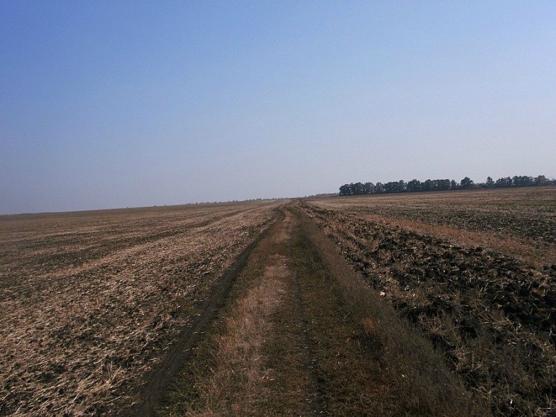 2011 год - Сухецьке