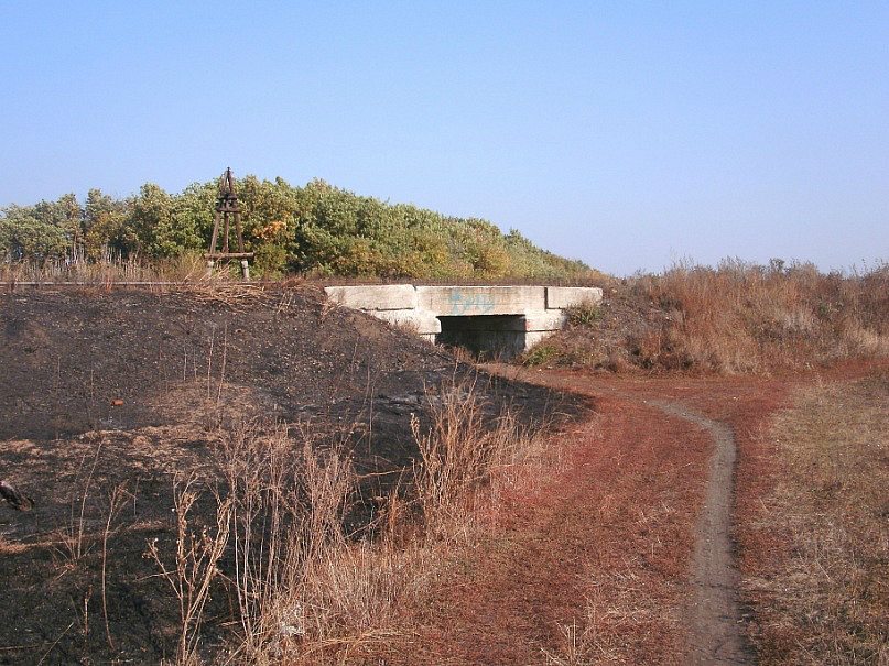 2011 год - Родинское