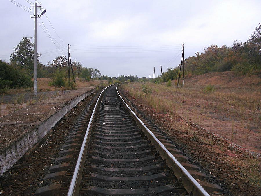 2011 год - Чунишине