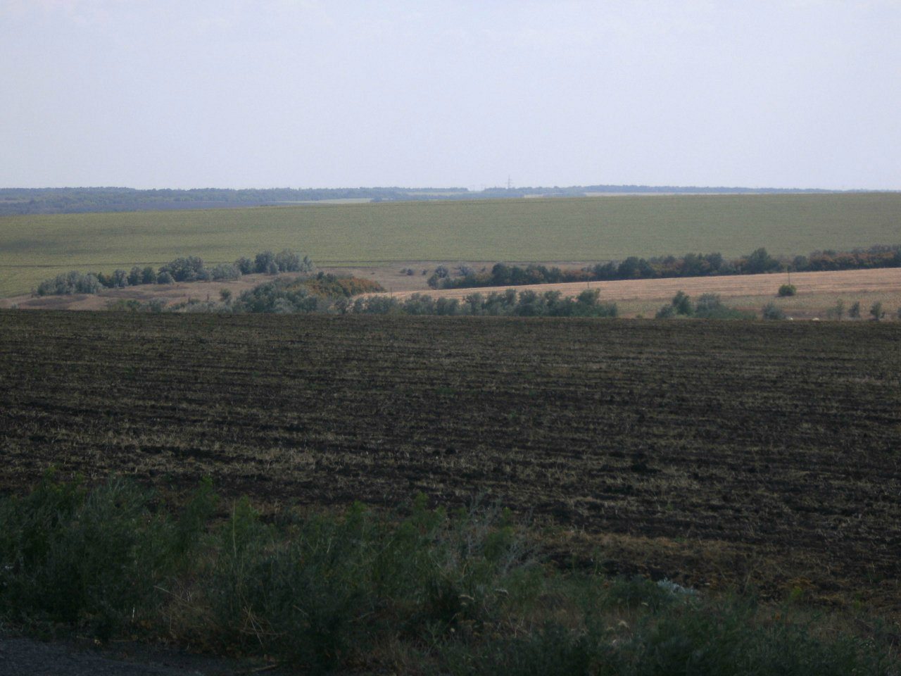 2011 год - Золотой Колодезь