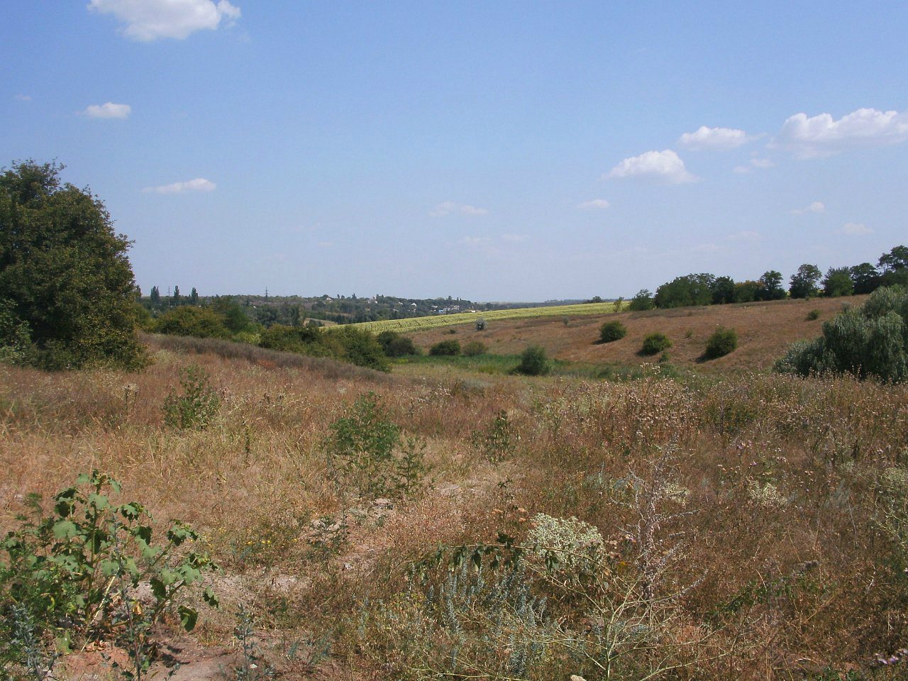 2011 год - Золотой Колодезь