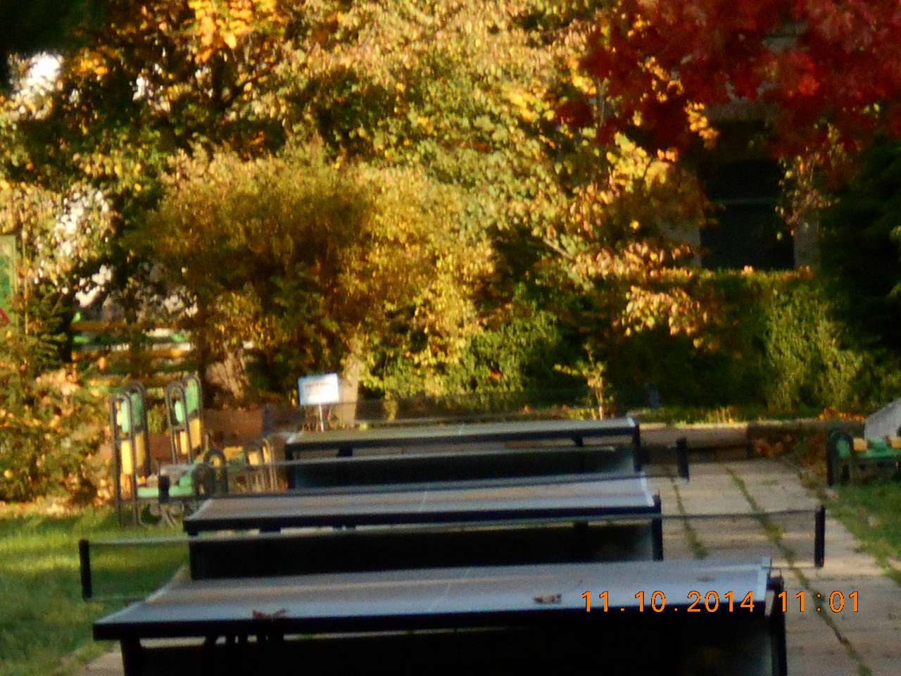 'Сонячна Поляна' у Поляні - Поляна