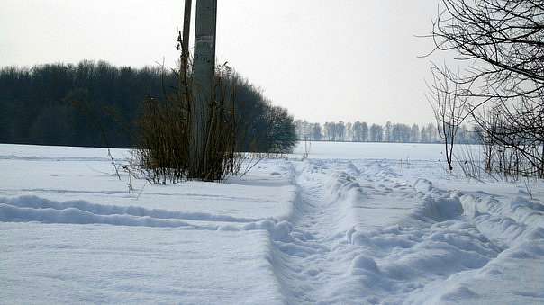 Спогади про сніжну зиму... - Витачів