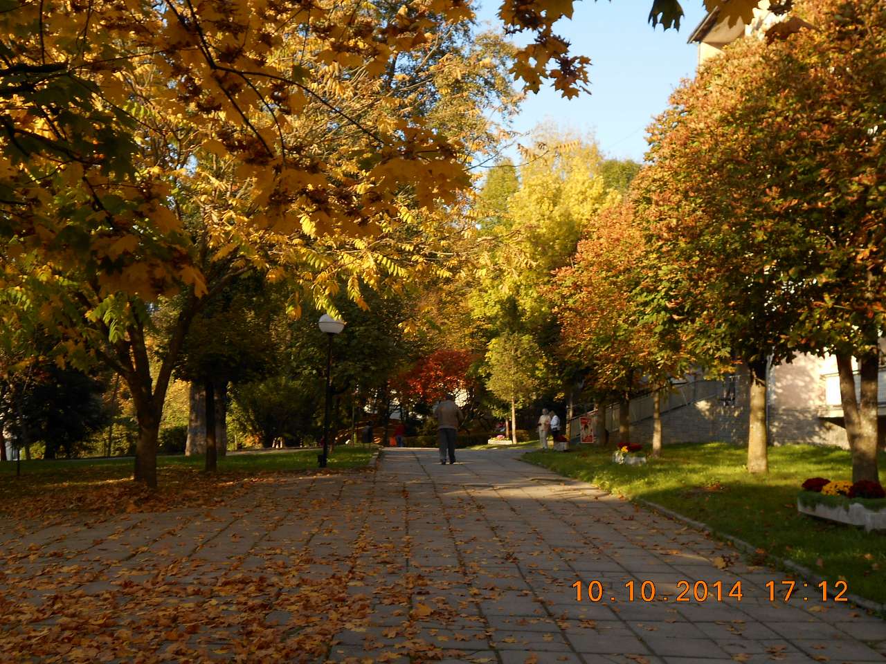 'Сонячна Поляна' у Поляні - Поляна