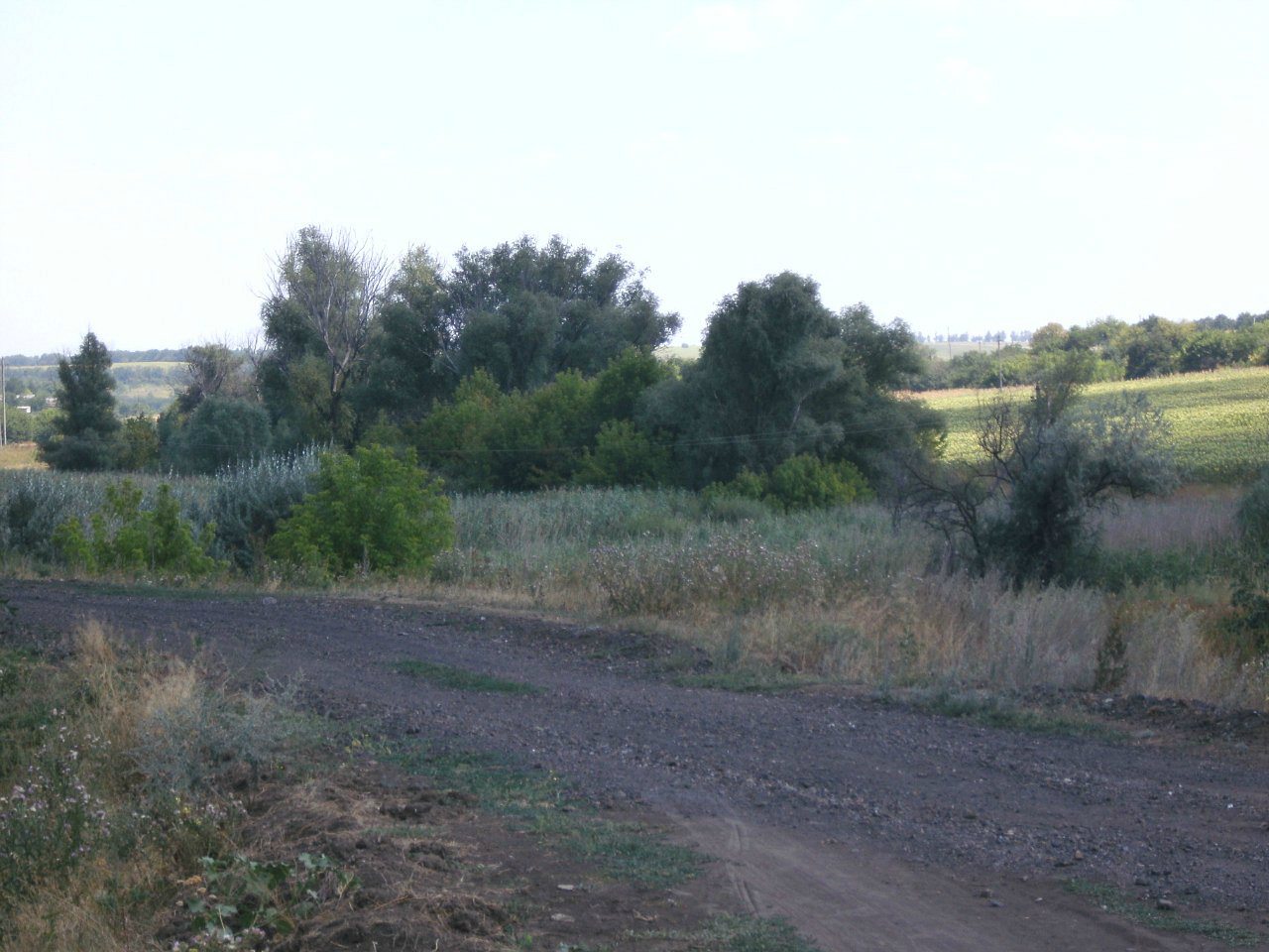 2011 год - Золотой Колодезь