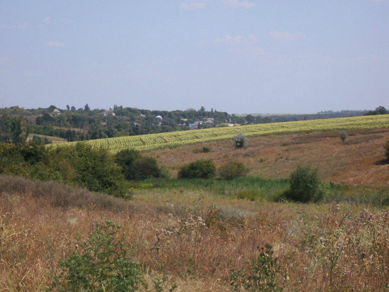 2011 год - Золотой Колодезь